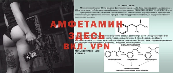 спиды Вяземский