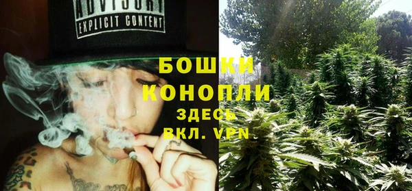 спиды Вяземский