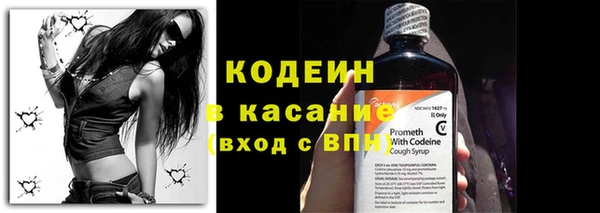 спиды Вяземский