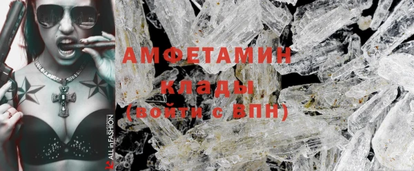 спиды Вяземский