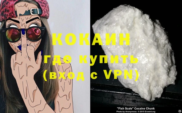спиды Вяземский