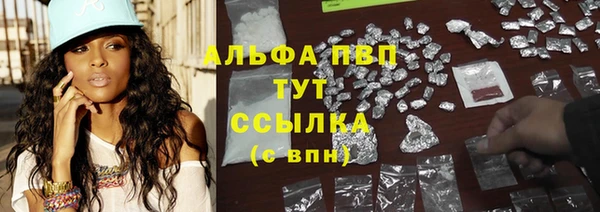 спиды Вяземский