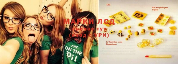 спиды Вяземский