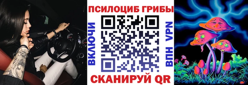 Галлюциногенные грибы Psilocybine cubensis  где купить наркоту  Железногорск 